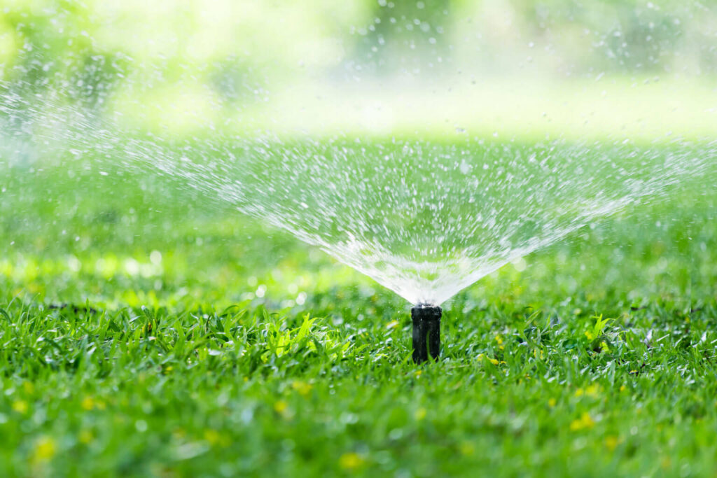 maldonado-water-usage