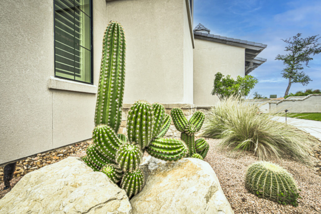 San antonio luxury landscape design