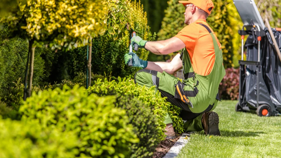 landscape maintenance services