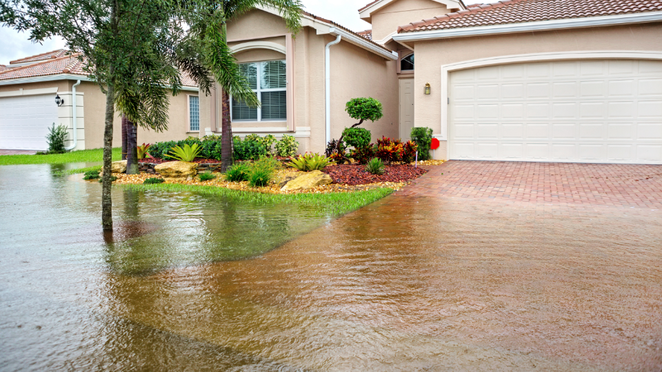 Landscaping in Texas
